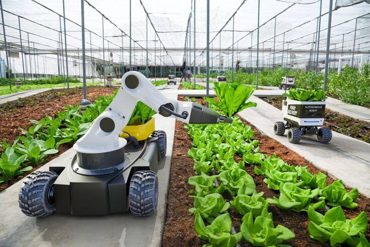 Agricultural robots in Belgium