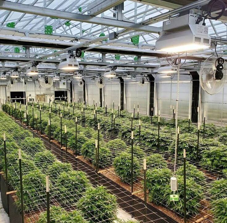 Modern vertical farm in urban container